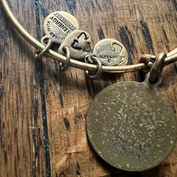 Alex and Ani collectible retired seven swords gold adjustable bracelet - Picture 5 of 5
